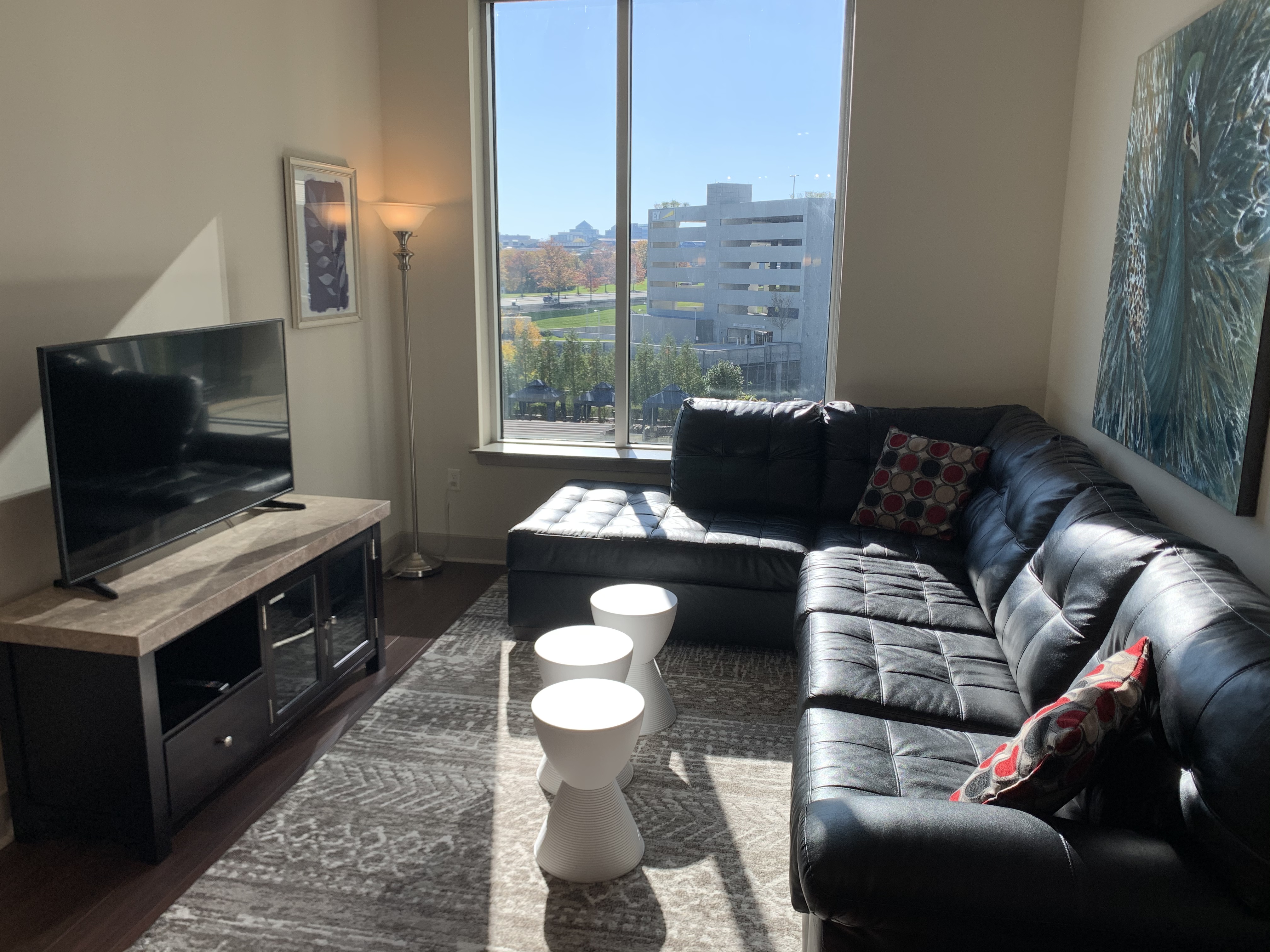 Furnished 1-Bedroom Apartment in Tysons